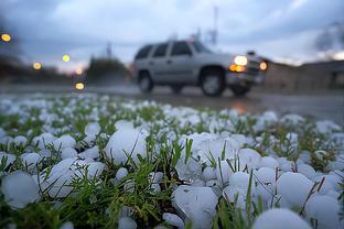 雷竞技app苹果下载官方版